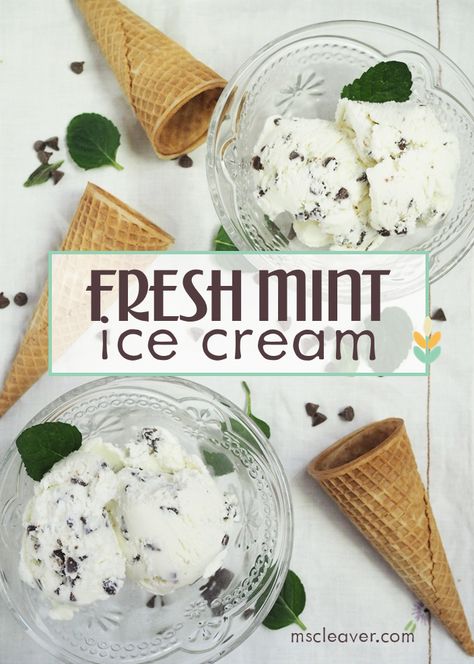 Mint Chip Ice Cream Recipe, Fresh Mint Ice Cream, Mint Ice Cream Recipe, Mint Recipes Fresh, Coconut Milk Ice Cream Recipe, Homemade Mint Chocolate Chip Ice Cream, Mint Chocolate Chip Ice Cream Recipe, Recipe With Chocolate Chips, Homemade Ice Cream Recipes Machine