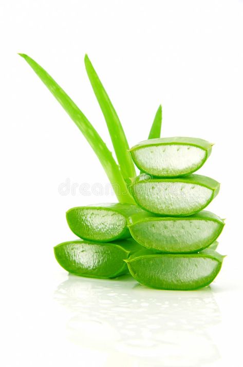 Slice Aloe Vera. Slice Aloe Vera (Aloe barbadensis Mill.,Star cactus, Aloe, Aloi #Sponsored , #Ad, #ad, #Aloe, #barbadensis, #cactus, #Vera Star Cactus, Aloe Hair, Skin Care And Hair Care, Blank Business Cards, Aloe Barbadensis, For Skin Care, Hair Healthy, Dermatology, Herbal Medicine