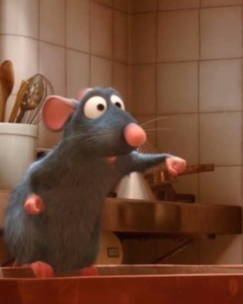 Remi The Rat, Ratatouille Kitchen, Remy The Rat, Remy Ratatouille, Crazy Movie, Ratatouille Disney, Anyone Can Cook, Cartoon Pfp, Out Of My League