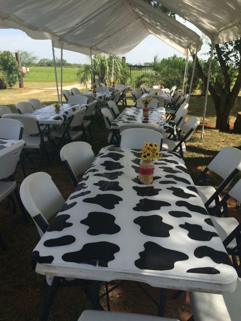 Western outdoors party. Cow patterns. Sunflowers Sweet Sixteen Party Ideas Western, Cow Print Wedding Ideas, Graduation Party Cow Theme, Country Sweet 16 Party Ideas Decoration, Western Sweet 16 Ideas Cowgirl Birthday, Cow Print Graduation Party, Cow Themed Graduation Party, Western Graduation Party Ideas, Country Sweet 16