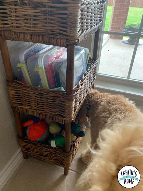 How To Store Dog Stuff, Organizing Dog Stuff, Organize Dog Stuff, Dog Gear Organization, Dog Supplies Organization, Cleaning Dogs Ears, Funny Nature, Dog Organization, Dog Medicine