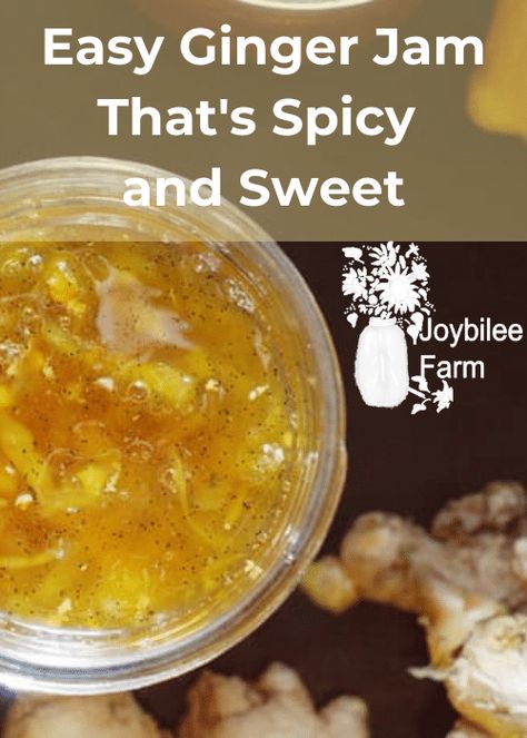 Orange Ginger Jam Recipe, Lemon Ginger Jam, Unusual Jam Recipes, Jams And Jellies Recipes, Ginger Jelly Recipe, Ginger Preserve Recipe, Preserve Ginger, Ginger Jam Recipe, Ginger Jelly