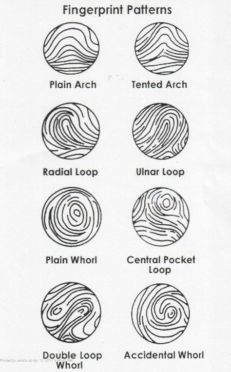 Fingerprint Pattern Facts | The different types of patterns in fingerprinting.: Science Classroom Decor, Types Of Fingerprints, Science Computer, Engineering Books, Science Classroom Decorations, Forensic Anthropology, Spy Party, Forensic Scientist, Science Engineering