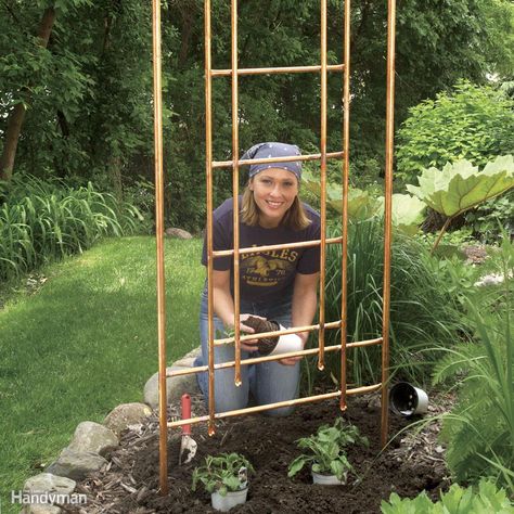 Build a Copper Trellis for Your Garden Copper Trellis, Patio Trellis, Patio Pond, Garden Arch Trellis, Planter Trellis, Arch Trellis, Trellis Ideas, Climbing Flowers, Cheap Pergola