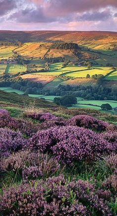 Scenic vista in Rosedale, North Yorkshire, England • photo: Katty Paris on Flickr Magic Places, Have Inspiration, Greenwich Village, Rolling Hills, English Countryside, Yorkshire England, Pretty Places, The Landscape, North Yorkshire