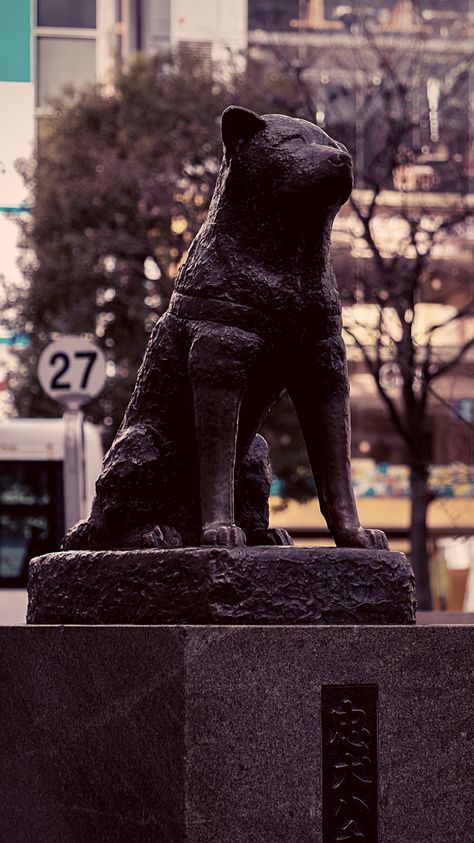 Shibuya Station, Loyal Dogs, Aesthetic Photo, Batman, Statue, Japan, Sculpture, Dogs, Fictional Characters