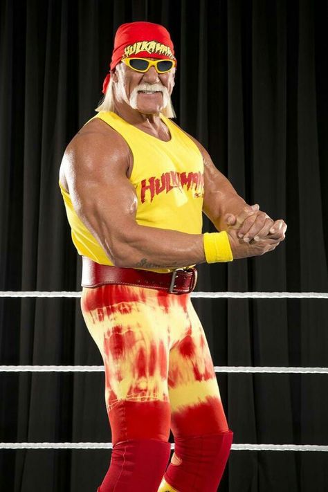 HBD Hulk Hogan August 11th 1953: age 65 The Rock Wrestler, Hulk Hogan Halloween, Hulk Hogan Costume, Wwe Hulk Hogan, Wwe Trish, Andre The Giant, Wrestling Stars, Wwe Legends, Ultimate Warrior