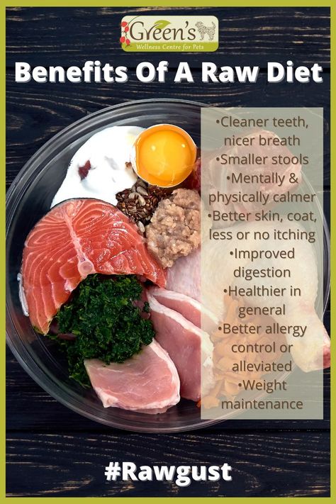 Feeding a raw diet doesn't have to be complicated. Complete foods are available that you simply defrost and serve. Evidence is mounting all over the world about fresh raw diets for cats & dogs. Dog’s generally have cleaner, stronger teeth & can be healthier and happier on a diet they would naturally choose themselves such as raw meaty bones, fresh meat, berries and herbs. A fresh raw diet can bring health benefits for your cat or dog. Have a look at our raw feeding guide for more information. Dog Raw Food, Raw Diet For Dogs, Raw Cat Food Diet, Dog Raw Diet, Raw Feeding For Dogs, Raw Cat Food Recipes, Raw Pet Food, Meat Diet, Cat Diet