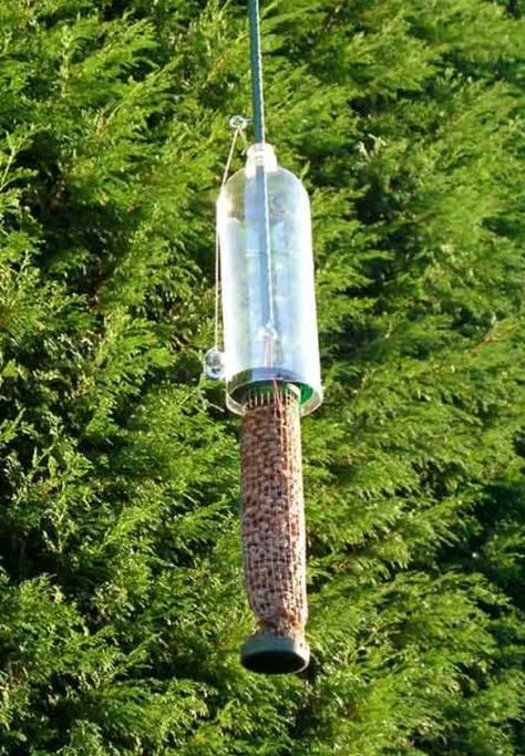 10 Brilliant DIY Squirrel-Proof Bird Feeder Ideas - Garden Lovers Club