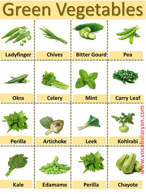 Green Leafy Vegetables Images, Green Leaf Vegetables, Green Vegetables Drawing, Green Vegetables Name, Vegetable Names In English, Nutrition Logo Ideas, Learning Cooking, Vegetables Names With Pictures, Vegetables Drawing