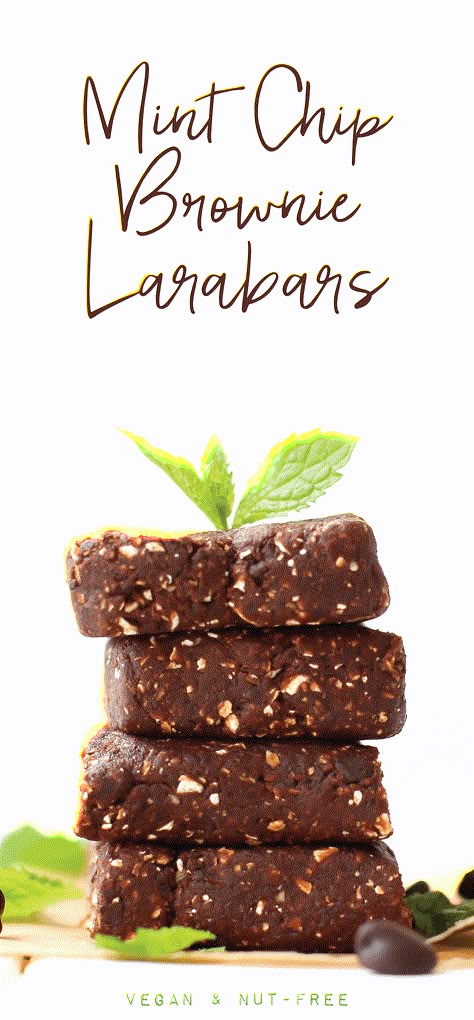 Copycat Larabar Recipe, Lara Bars Recipe, Homemade Larabars, Bake Snacks, Vegan No Bake, Fruit And Nut Bars, Low Fat Snacks, Lara Bars, Mint Recipes