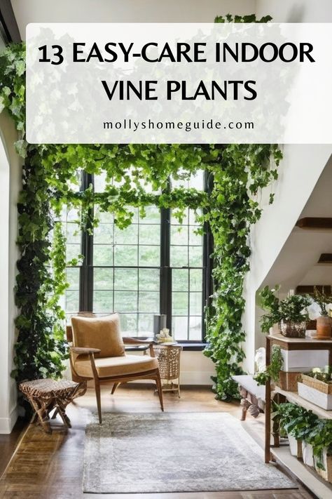 Looking to add some greenery to your indoor space? Explore the world of indoor vine plants! From easy-to-care-for Pothos to stunning Climbing Plants, there's a perfect vine for every first-time plant parent. Create a lush indoor jungle with Hanging Plants or get creative with Indoor Vine Wall Ideas. Discover essential tips for Pothos Plant Care and find inspiration for trellis designs that will elevate your space. How To Arrange Fake Vines In Room, Hanging Pothos Plants Indoor, Falling Plants Indoor, Pothos On Wall, Vine Wall Ideas, Pothos Wall Climbing, Pothos Climbing Ideas, Indoor Vine Plants, Indoor Climbing Plants