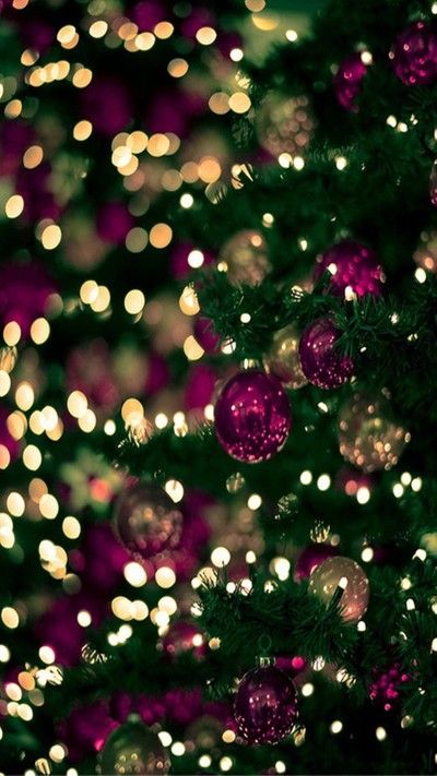 by 0870 - ViewBug.com Purple And Green, Christmas Tree, Purple, Green, Christmas