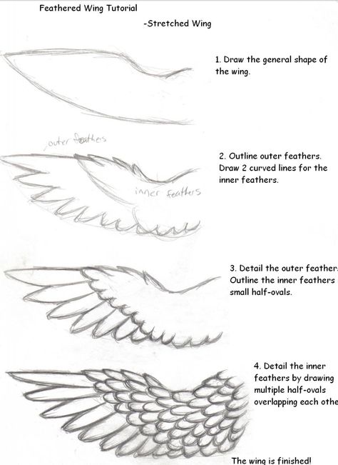 Wolf Outline Drawing, How To Draw Wings, Drawing Wolves, Wolf Outline, Draw Wings, Wings Sketch, Angel Wings Drawing, Anime Wolf Drawing, Wings Drawing