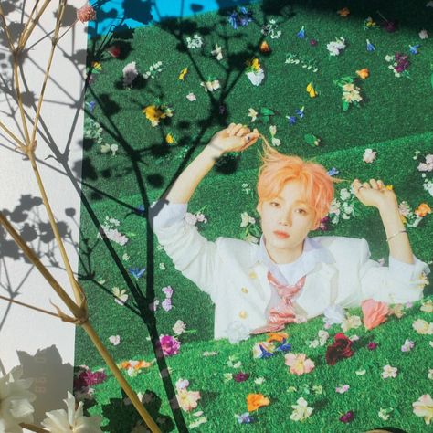 a photo of the boyz’s bloom bloom photobook. chanhee’s page with dried, pink flowers beside it casting a shadow onto the page. The Boyz Bloom Bloom, Kpop Collection Aesthetic, Chanhee The Boyz, Collection Aesthetic, Choi Chanhee, Kpop Collection, Room Desk, The Boyz, K Idols