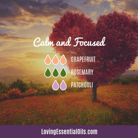 Calm and Focused Diffuser Blend by Loving Essential Oils with grapefruit, rosemary, and patchouli essential oil. Peace And Calming Essential Oil, Peace And Calming, Perfume Versace, Positive Feelings, Focus And Concentration, Young Living Essential Oils Recipes, Yl Oils, Yl Essential Oils, Essential Oil Diffuser Recipes