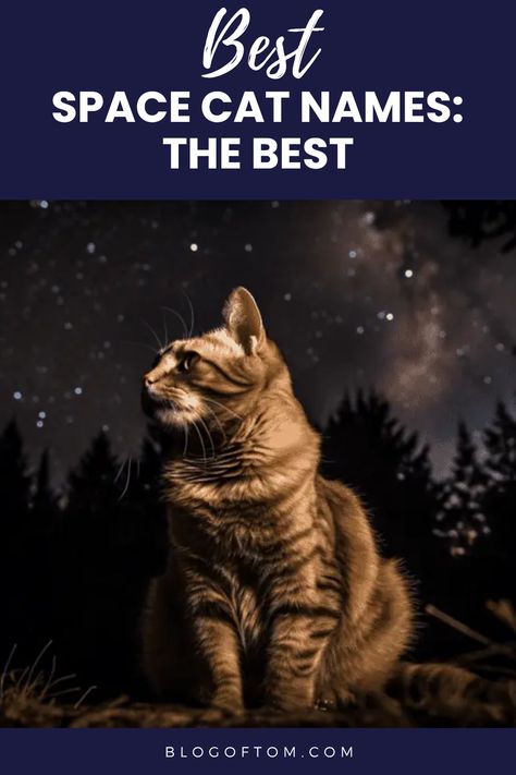 Are you searching for the purrfect name for your feline friend? Look no further! We’ve got 147 awesome astronomy cat names that range from celestial objects to famous astronauts. Whether you want to name your kitty after a planet, a star, or a beloved space character, we have every inspiration you need to make that special choice. Say hello to out-of-this-world ideas that fit your cat's unique personality! Don’t forget to save and share these fun space cat names with your friends who are pet parents too! Famous Astronauts, Kitten Space, Galaxy Names, Fun Names, Celestial Objects, Castor And Pollux, Space Character, Gang Up, Taurus And Scorpio