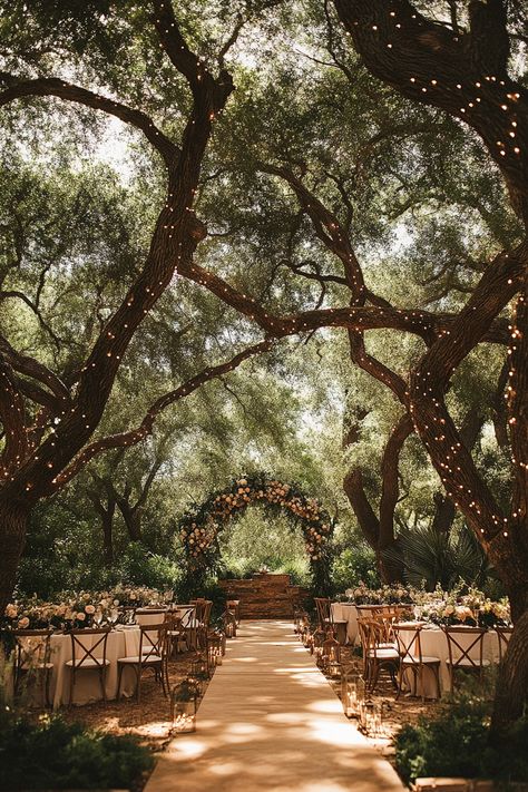 Create your dream ceremony under the stars with these enchanting outdoor wedding ideas! From twinkling lights to cozy seating, discover how to set the perfect romantic ambiance for your special day.   #OutdoorWedding #WeddingIdeas #DreamWedding #StarryNight #OutdoorCeremony #WeddingPlanning #BridalInspiration #WeddingDecor #RusticChic #NatureLovers #BohoWedding #WeddingInspo #CeremonyInspiration #UniqueWeddings #WeddingGoals Aesthetic Outdoor Wedding, Wedding Venues Outdoor Simple, Wedding Inspo Forest, Outside Night Wedding, Fairy Lights Wedding Outdoor, Elegant Classy Wedding Decor, Garden Wedding Venue Ideas, Wedding Scenery Outdoors, Wedding Venues Outdoor Gardens