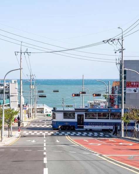 Haeundae Blue Line Park, Summer In Korea Aesthetic, Summer In South Korea, Korean Landscape Aesthetic, Busan South Korea Wallpaper, Busan Landscape, Korea Summer Aesthetic, Busan Wallpaper, South Korea Beach