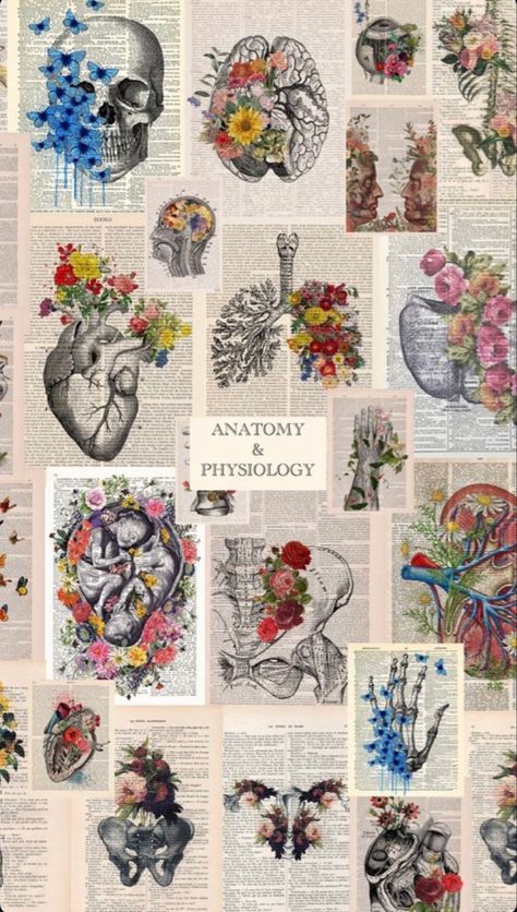 Psychology Wallpaper Desktop, Vintage Medical Art, Nursing Wallpaper, Psychology Wallpaper, Medical Artwork, Drawing Collage, Wallpaper Notebook, Medical Wallpaper, Wallpaper Computer