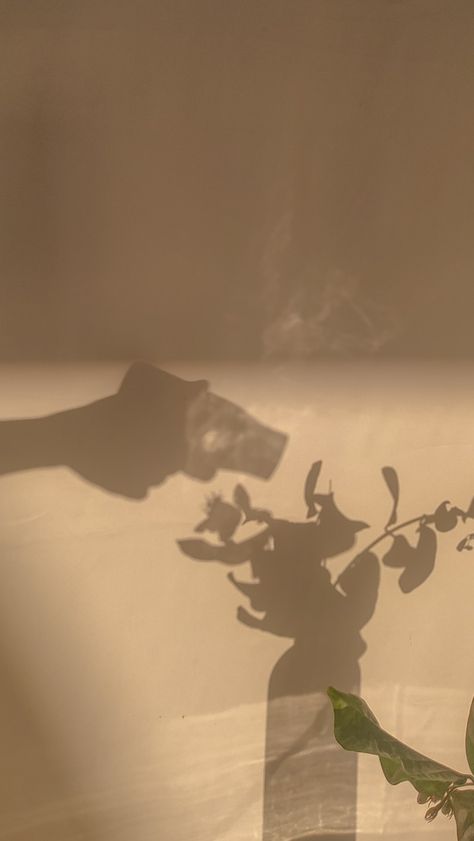 #aesthetic #photography #shadow #vintage Mid Century Photography, Shadow Aesthetic, Easter 2024, Reference Board, Aesthetic Places, Brand Aesthetic, Shadow Play, Movie Characters, Art Class