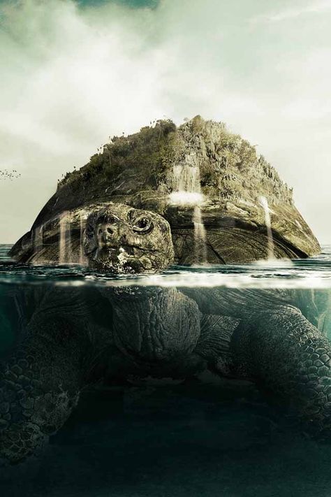 The island itself could be a giant tortoise with the tree as the shell - just massive Island Turtle, Magical Island, Giant Tortoise, Turtle Island, Magic Island, Landscaping Inspiration, Turtle Love, Turtle Art, A Turtle