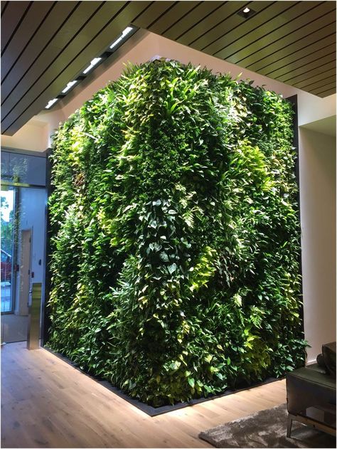 Living Wall, built in grow lights and irrigation system for easy greenspace maintenance at office Living Green Wall Indoor, Living Wall Staircase, Plant Wall Lighting, Green Wall Lighting, Living Wall Ideas, Indoor Living Wall, Growing Wall, Living Wall Diy, Green Plant Wall