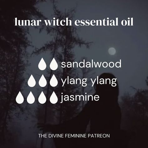 🌿🐈‍⬛✨🌙 Essential Oil Blends inspired by the witches Some blends l’ve created that you can use for aromatherapy! Some ways you can use essential oils are in… diffusers, for creating oils, adding in lotions or directly onto pulse points with caution, etc! I’ve posted lots of essential oils over on Patreon so definitely get check them out! ✨🌙 🍂🍁 Shop our metaphysical shop through the link in bio #aromatherapy #witch #witchy #essentialoils #witchtok #witchcraft #pagan #witchesoftiktok #greenwi... Witchy Essential Oils, Spooky Essential Oil Blends, Witchy Diffuser Blends, Essential Oils For Witchcraft, Witchy Essential Oil Blends, Essential Oil Witchcraft, Witch Oils, Grey Witch, Joy Essential Oil