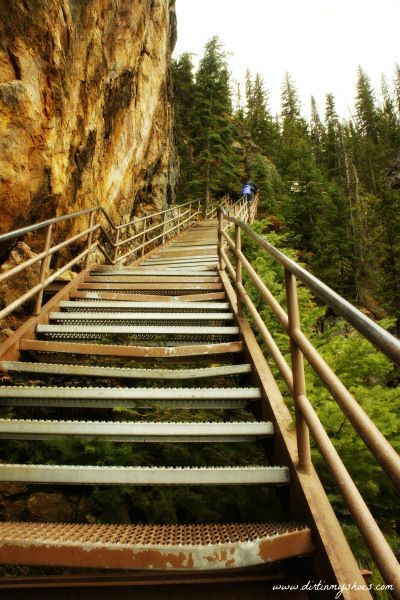 This trail is adventurous and challenging but provides incredible views of a beautiful waterfall!   Uncle Tom's Trail || Yellowstone National Park || Dirt In My Shoes Yellowstone Waterfalls, Yellowstone National Park Vacation, Yellowstone Vacation, Yellowstone Trip, Visit Yellowstone, Yellowstone Park, National Park Vacation, National Park Road Trip, Au Pair