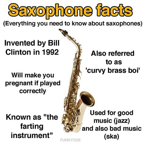 Only real saxophone fans will know these facts Saxophone Jokes, Musician Jokes, Funny Band, Marching Band Humor, Band Jokes, Music Jokes, Band Nerd, Band Geek, Band Kid