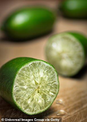 Finger limes, grown in tropical rainforests in Queensland, Australia, contain a high conce... Fruit Caviar, Limes Recipes, Finger Limes, Fish Roe, Caviar Lime, Finger Lime, Nature Photography Tips, Restaurant Social Media, Lime Recipes