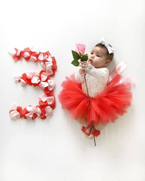 Baby Girl Monthly Ideas with Roses, 3 months old baby girl photo idea, baby girl tutu skirt, baby girl photo idea 7 Month Valentine Photos, Baby Girl Monthly Photoshoots, 6 Month Baby Girl Photoshoots, Valentine’s Day 6 Month Photo Shoot, Princess Shoot, Rose Photoshoot, New Born Baby Girl Photoshooting Valentine, Monthly Ideas, Princess Shot