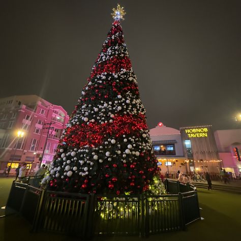 Christmas Tree at Atlanta Station #atlanta #atlantachristmas #christmas #christmastreeideas #explore #xmas #decor Christmas In Atlanta, Seasonal Tree, Xmas Decor, Atlanta, Merry Christmas, Christmas Tree, Christmas