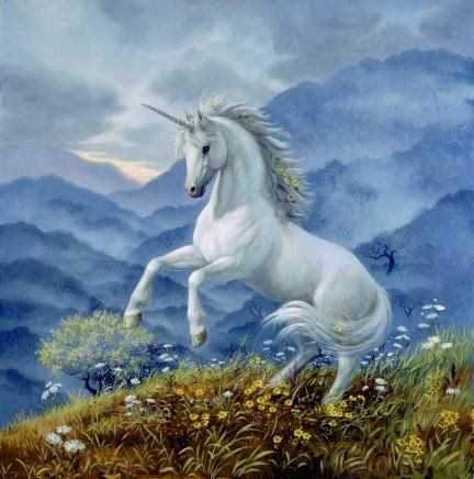 Unicorn Fan Club https://www.facebook.com/pages/Unicorn-Fan-Club/353488018086892 Ruth Sanderson, Artwork Collection, Unicorn And Fairies, Unicorn Photos, Pegasus Unicorn, Magical Horses, Unicorn Tattoos, Unicorn Pictures, Fantasy Horses