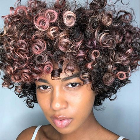 Aixa Jahara Natural Hair Pink Highlights, Layered Bangs, Curly Color, Bob Haircut Curly, Curly Hair Photos, Wavy Bob Hairstyles, Colored Curly Hair, Short Curly Haircuts, Haircuts For Curly Hair