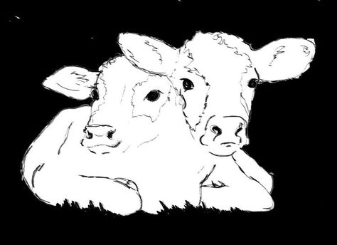 Two Headed Cow Art, Conjoined Animal Tattoo, Two Headed Cow Tattoo, Two Headed Calf Drawing, Two Headed Cow, Two Headed Calf, Cassandra Calin, Cow Tattoo, Cow Drawing