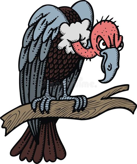 Wild vulture. Isolated on the white background royalty free illustration Buzzard Drawing, Cartoon Vulture, Inkscape Tutorials, Cool Tattoo Drawings, Buzzard, Art Drawings Sketches Pencil, Animal Book, Free Illustration, Old Maps