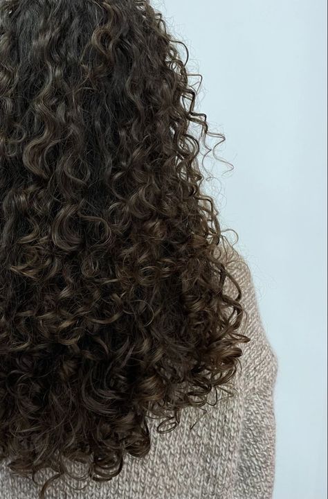 Curly hair 🖤 Hair Aethstetic, Curls Aesthetic, Curly Dark Brown Hair, Dark Brown Curly Hair, Long Natural Curly Hair, Shaved Design, Black Men Haircut, Brown Curly Hair, Curly Girl Method