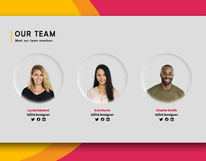 Team Card Design, Team Profile Design, Team Section Web Design, Website Team Page, Team Presentation Design, Team Members Design Layout, Meet Our Team Design, Team Design Layout, Profile Design Layout