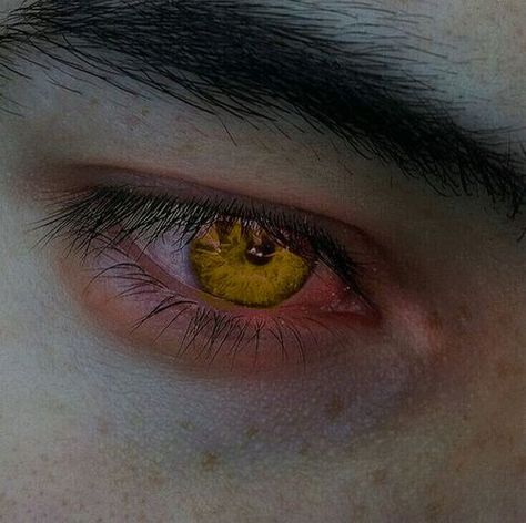 Werewolf Aesthetic, Blond Amsterdam, Golden Eyes, Terry Pratchett, Incubus, Aesthetic Eyes, Gold Eyes, Neil Gaiman, Yellow Eyes