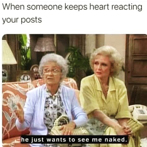 @vii.0.i on Instagram: “👀❤😂😂😂” Facebook Drama, Police Memes, American Humor, Police Humor, Dirty Memes, Married With Children, Golden Girls, When Someone, Funny Memes