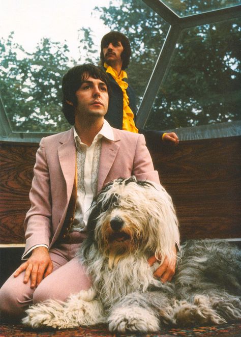 Paul, Ringo & "Martha my dear" Martha My Dear, Paul Mccartney Ringo Starr, Don Pedro, Beatles Photos, Beatles Pictures, Sir Paul, English Sheepdog, Old English Sheepdog, The Fab Four