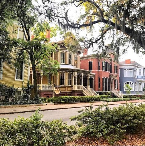 Savannah Will Totally Charm You — Even in Summer – Travelzoo Savannah Georgia Architecture, Scad Aesthetic, Savannah Georgia Homes, Savannah Homes, Savanna Georgia, Forsyth Park Savannah, French Colonial Style, Coastal Living Magazine, Georgia Coast