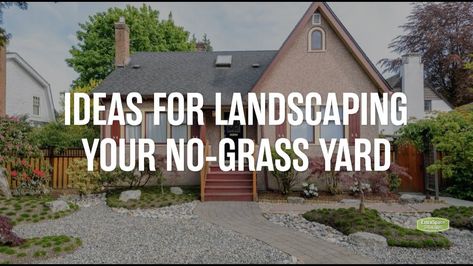 No Grass Yard, Grass Alternatives, Moss Lawn, Grass Alternative, Lawn Ideas, Extra Space Storage, Lawn Alternatives, Gardens Ideas, Native Plant Gardening