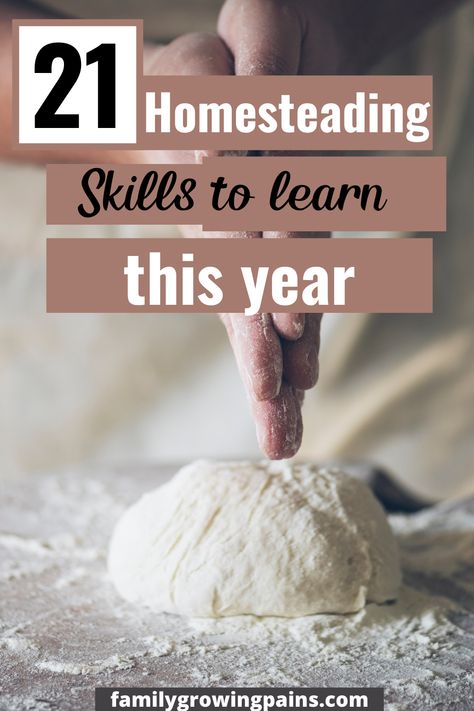 How To Start Homesteading Slowly, Homestead Skills List, Basic Homestead Skills, What Is Homesteading, Homestead Crafts To Sell, Homesteading Recipes For Beginners, Beginning Homesteading, Cooking From Scratch For Beginners, Learn How To Cook