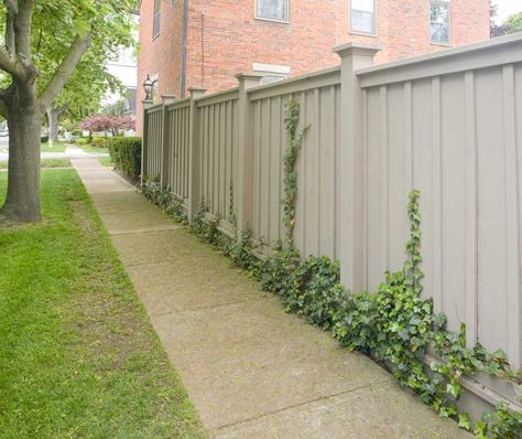 Hardie Board Fence Ideas, Property Privacy Fence Ideas, Board And Batten Fence Ideas, Colonial Fence Ideas, Front Privacy Fence Ideas, Vinyl Fencing Ideas Backyards, Privacy Fence Styles, Board And Batten Fence, Backyard Fences Ideas