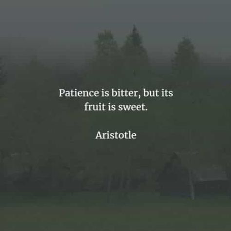 Existentialism Quotes, Aristotle Quotes, Stoicism Quotes, Stoic Quotes, Mixed Feelings Quotes, Philosophical Quotes, Catholic Quotes, Philosophy Quotes, Quotes By Famous People