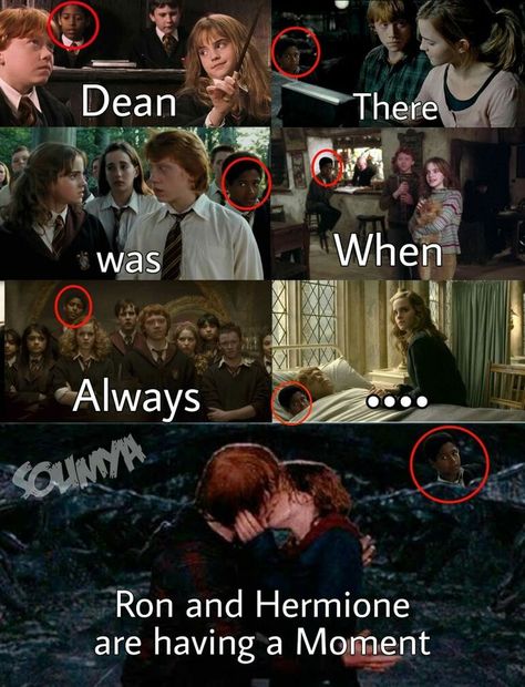 Romione Memes, Harry Potter Voldemort, Stile Harry Potter, Funny Harry Potter Jokes, Harry Potter Memes Hilarious, Hilarious Pictures, Harry Potter Feels, Harry Potter Puns, Harry Potter Scene