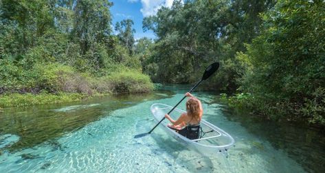 Take a clear-bottom kayak tour Multiple locations Head over to one of Florida’s many gorgeous springs and grab a clear kayak. It’s a unique experience where you get to see even more of what Florida’s nature has to offer. Photo via Get Up and Go Kayaking Clear Kayak, Visit Orlando, Florida Adventures, Get Up And Go, Orlando Parks, Florida Springs, Rock Springs, Kissimmee Florida, Kayak Camping