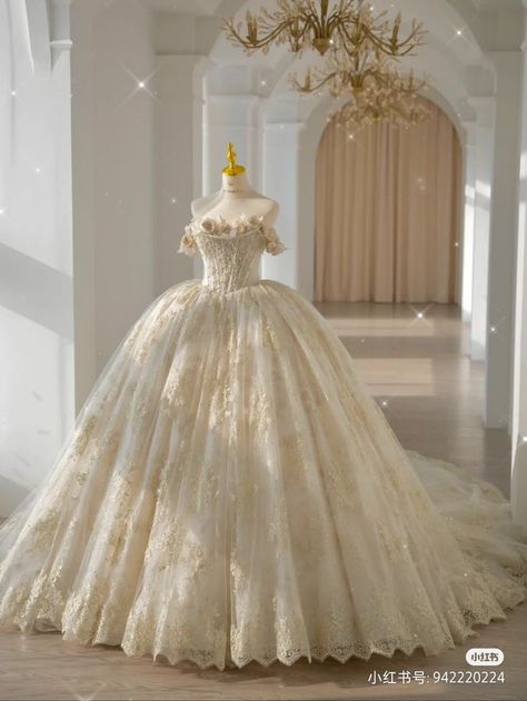 1860s Wedding Dress, Fairy Quinceanera Dress, Debut Gowns, Pretty Quinceanera Dresses, Wedding Dress Champagne, Pretty Wedding Dresses, Fancy Wedding Dresses, Dream Wedding Ideas Dresses, Fantasy Gowns